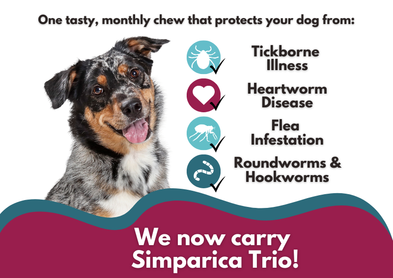 Carousel Slide 4: Visit Our Online Store >>