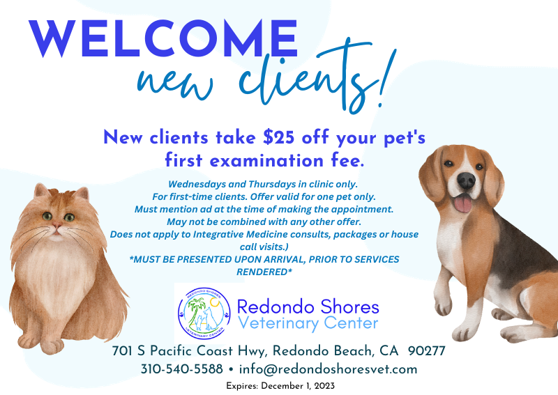 Carousel Slide 2: New Client Special