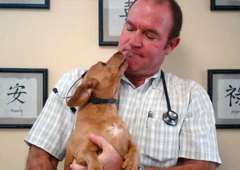 Carousel Slide 6: Join our veterinary team.